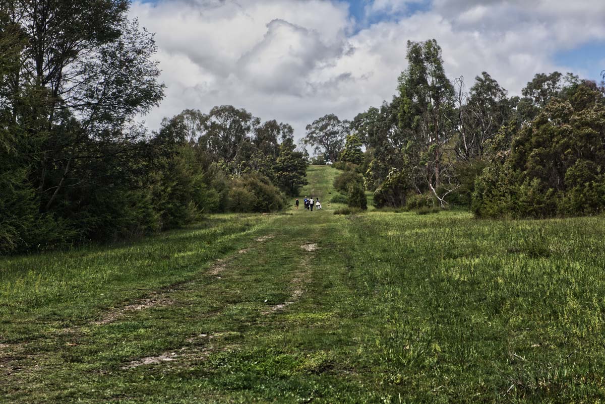 Mount lofty hike 18