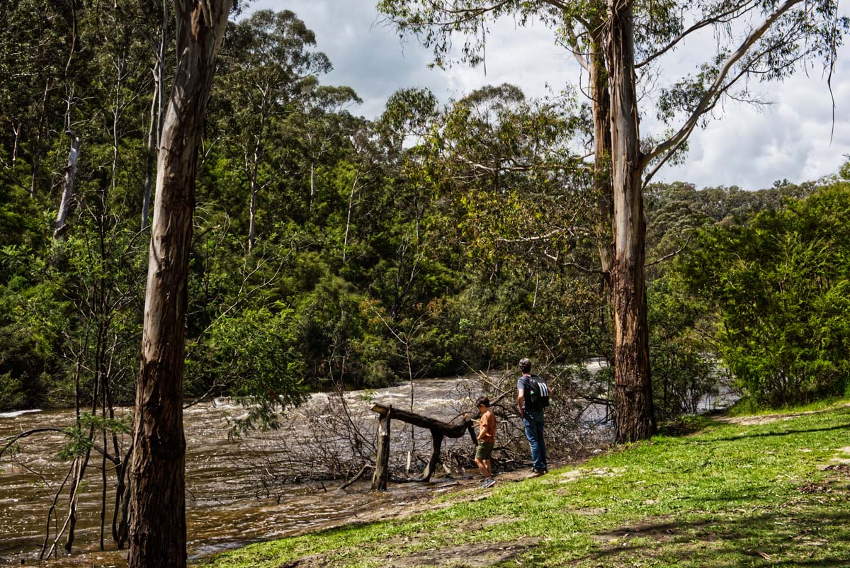 Mount lofty hike 19