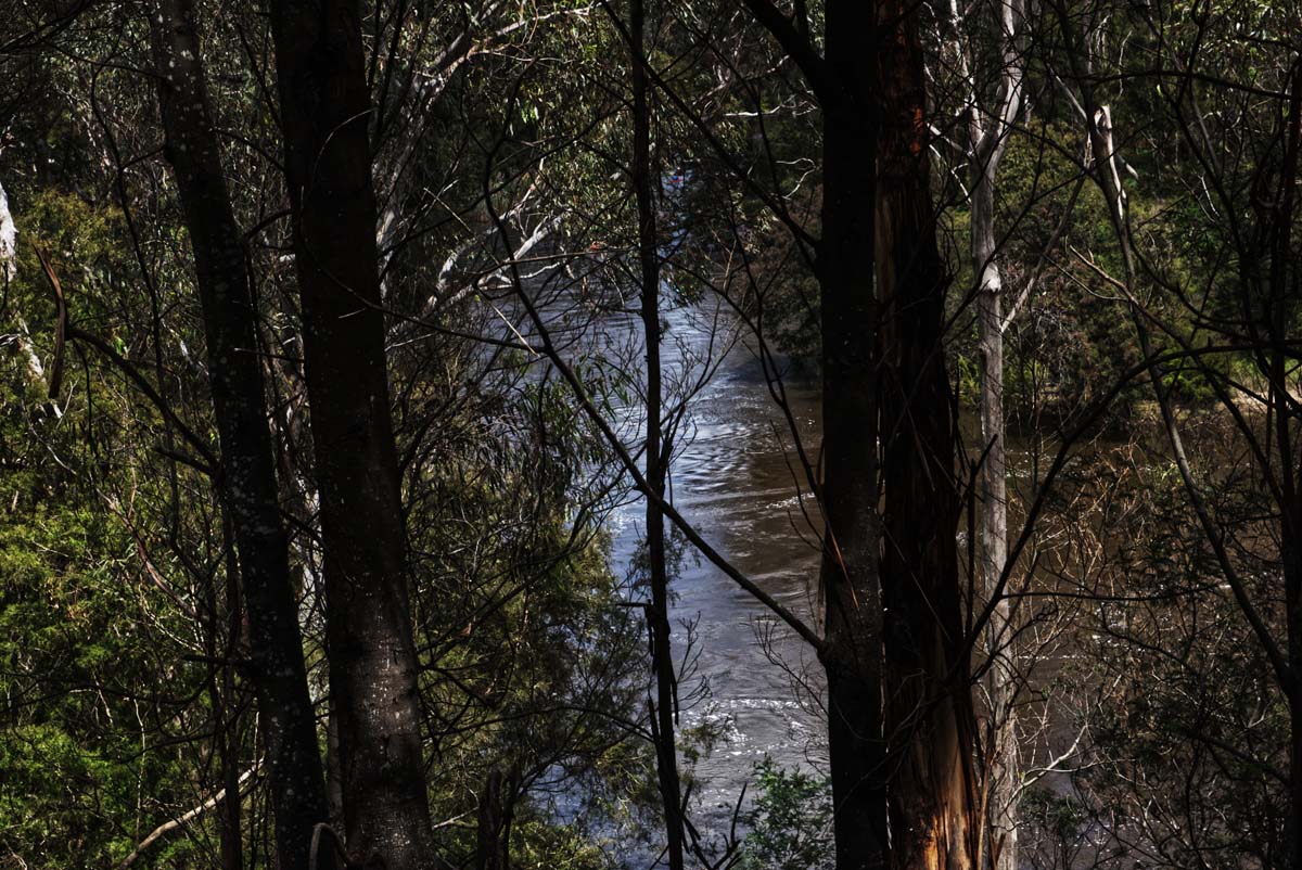 Mount lofty hike 2