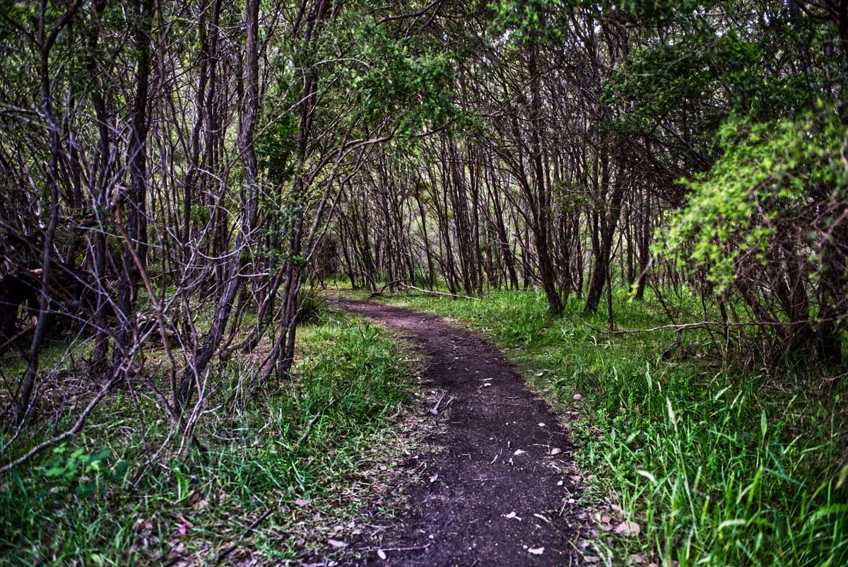 Mount lofty hike 20