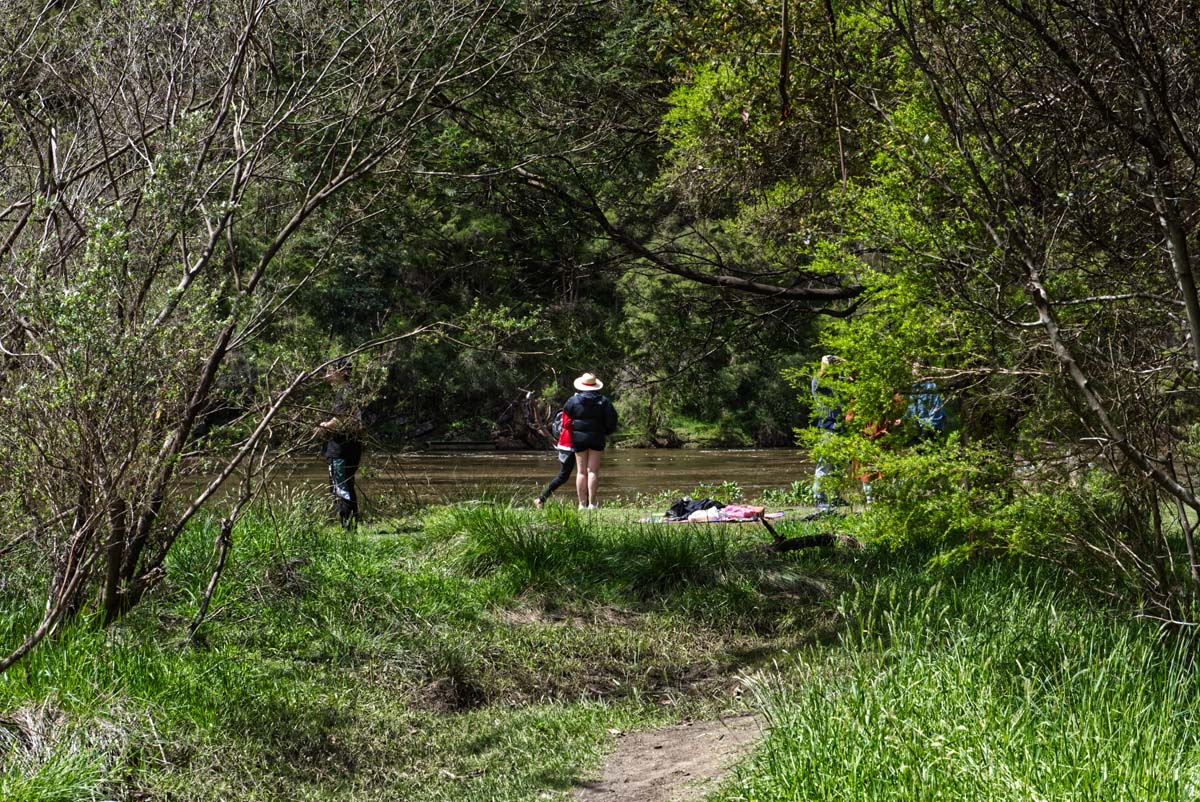 Mount lofty hike 21