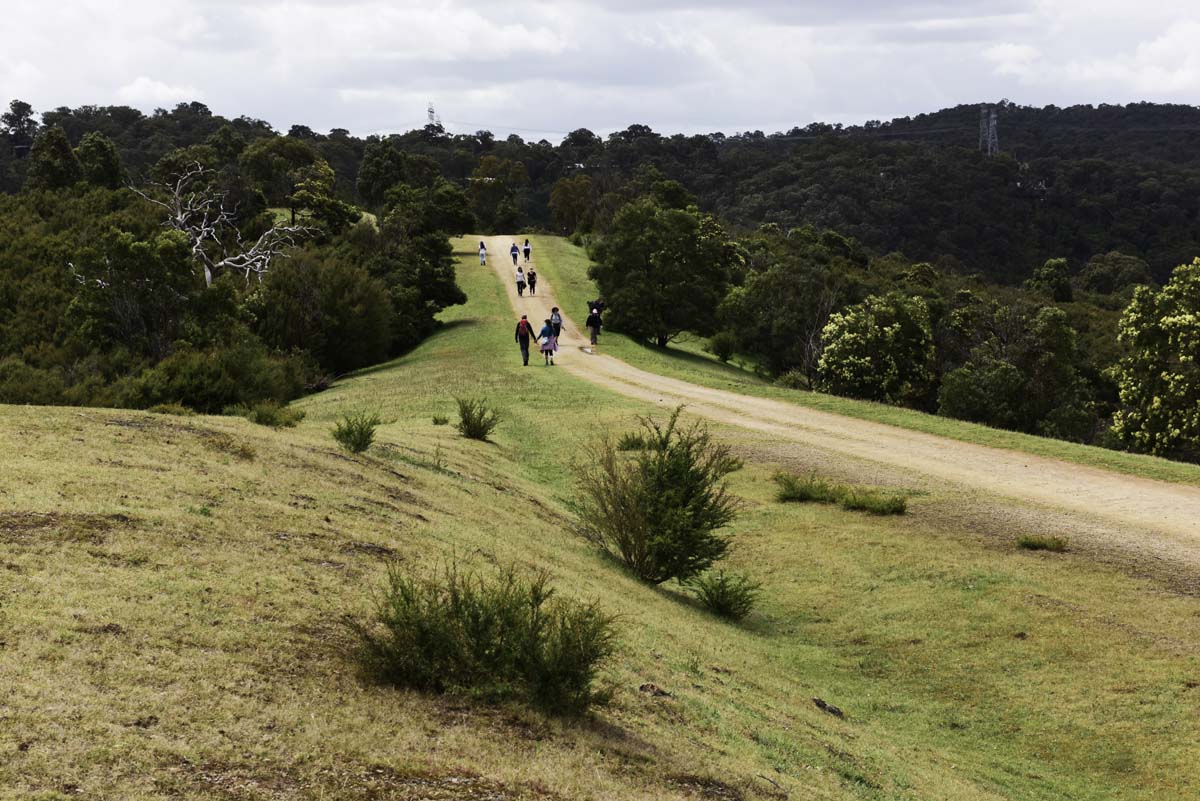 Mount lofty hike 26