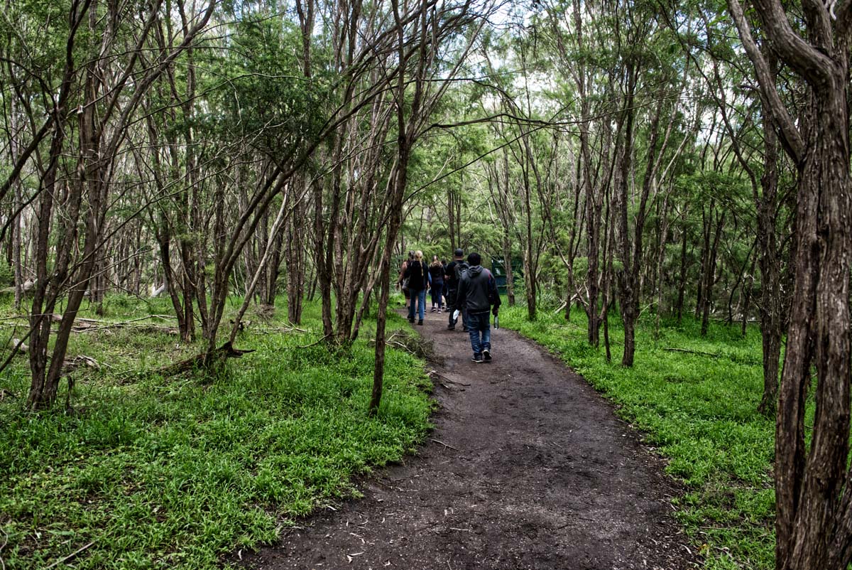 Mount lofty hike 33