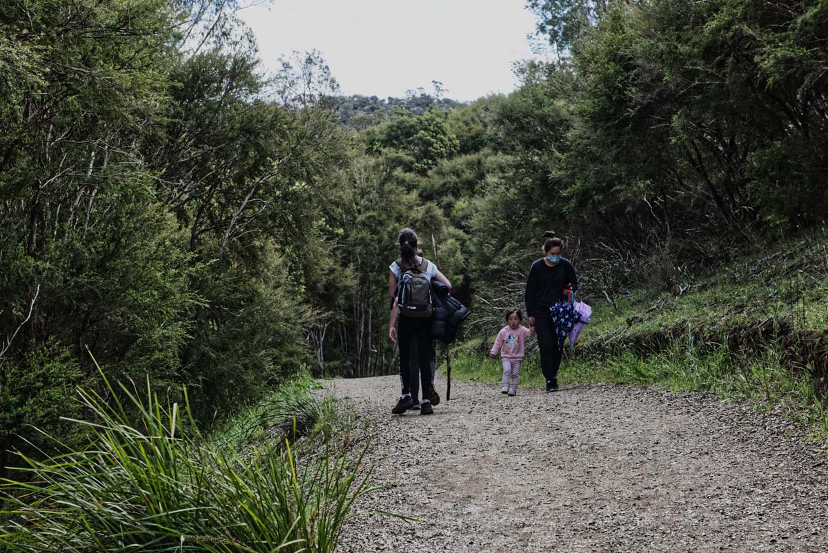 Mount lofty hike 8