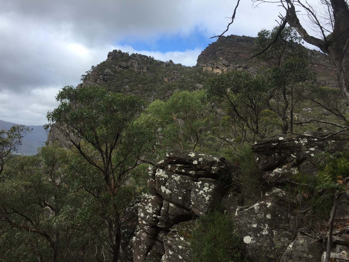 Mount lubra & twin peak hike 10