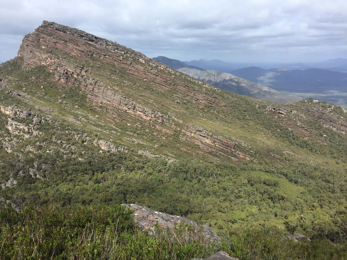 Mount lubra & twin peak hike 16
