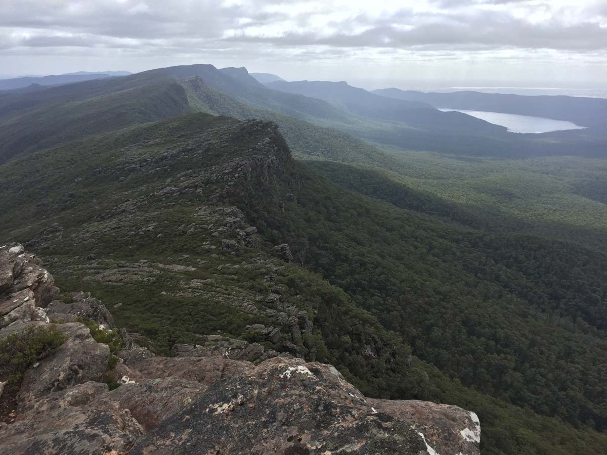Mount lubra & twin peak hike 23