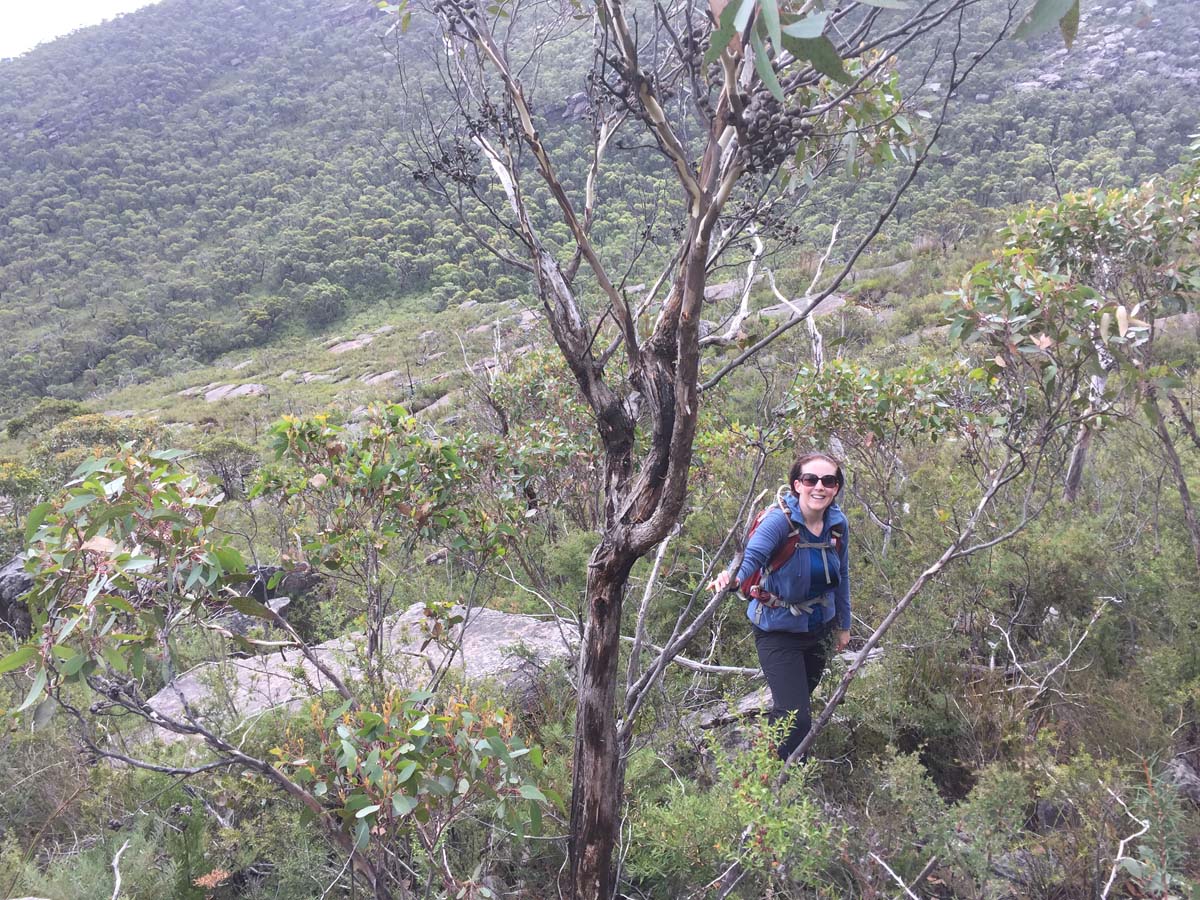Mount lubra & twin peak hike 26