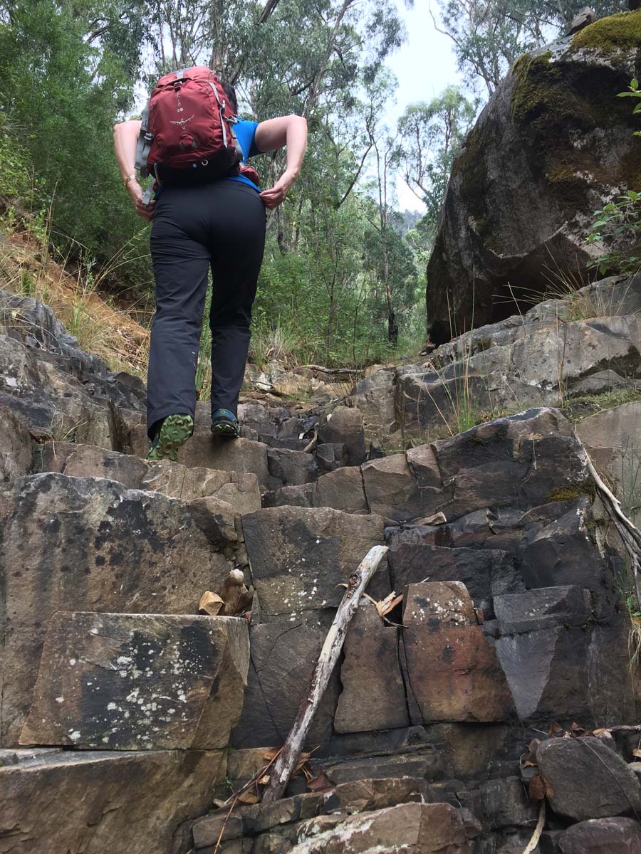 Mount lubra & twin peak hike 3