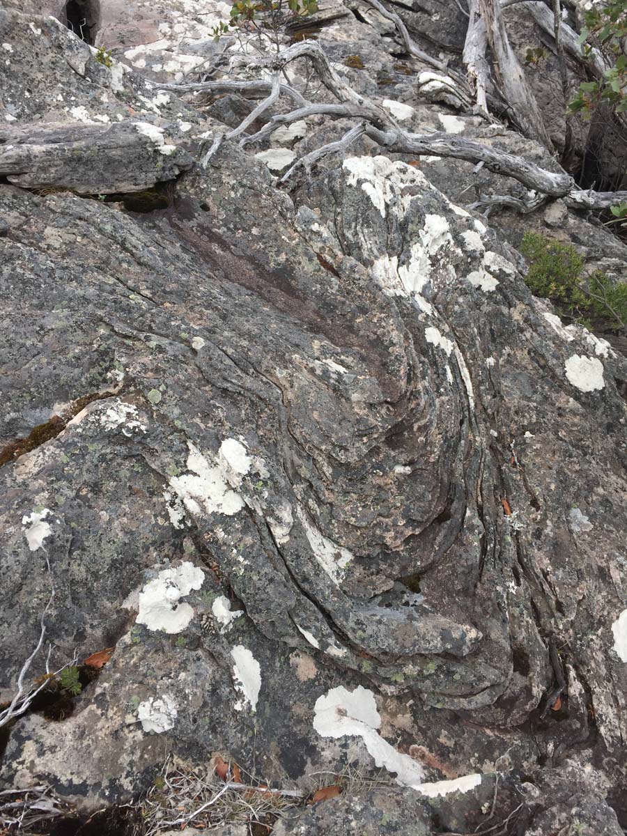 Mount lubra & twin peak hike 36