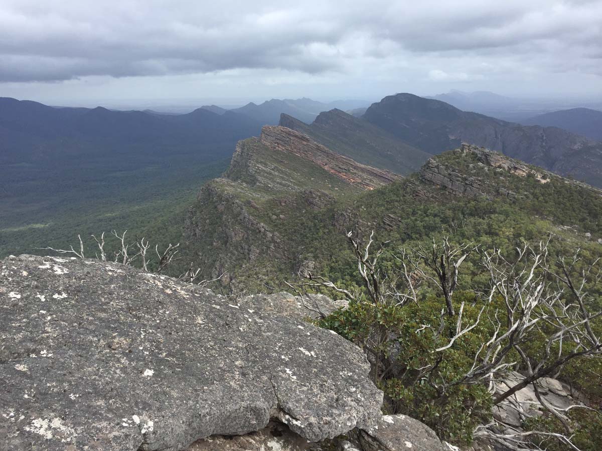 Mount lubra & twin peak hike 39