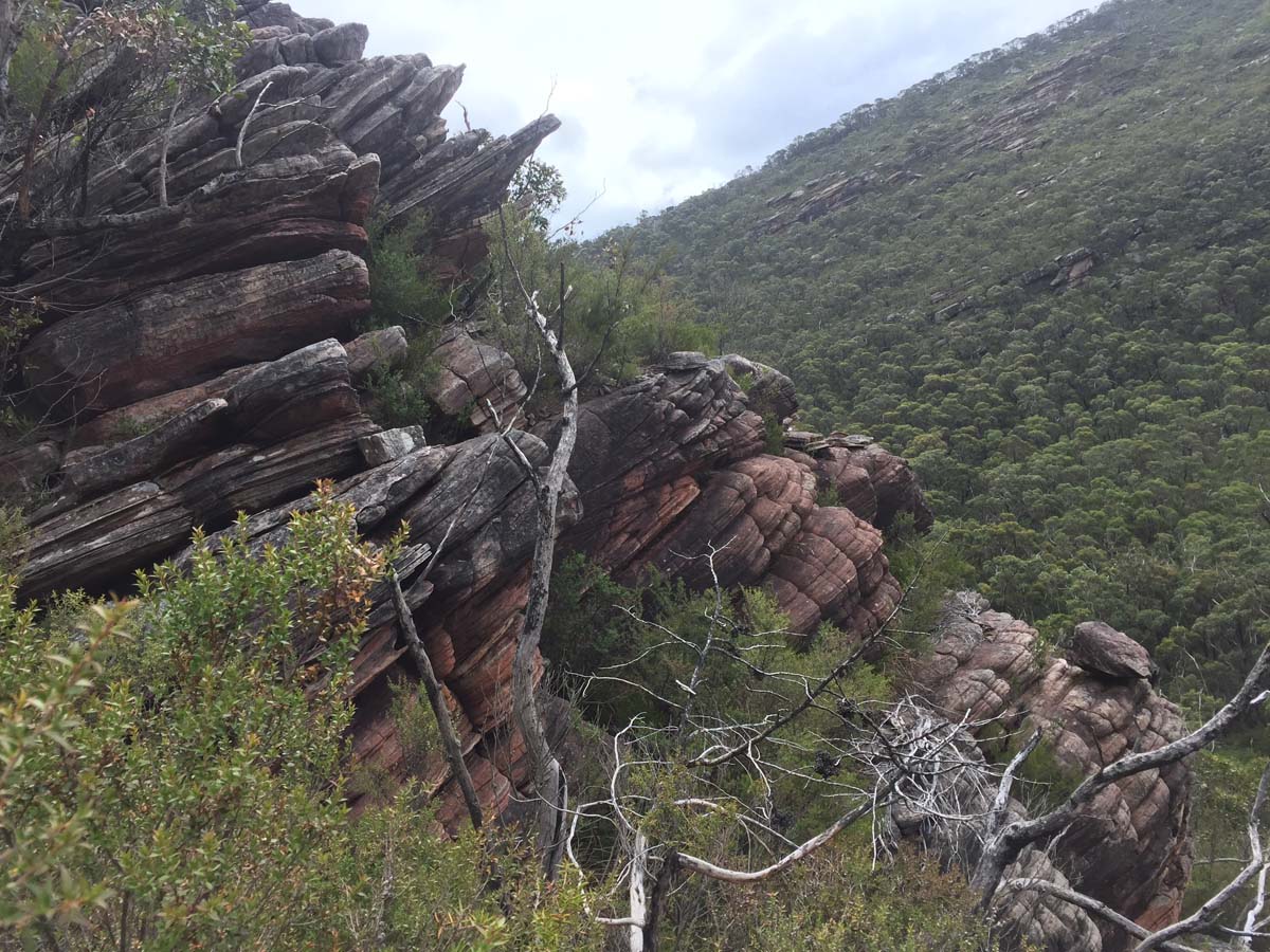 Mount lubra & twin peak hike 42