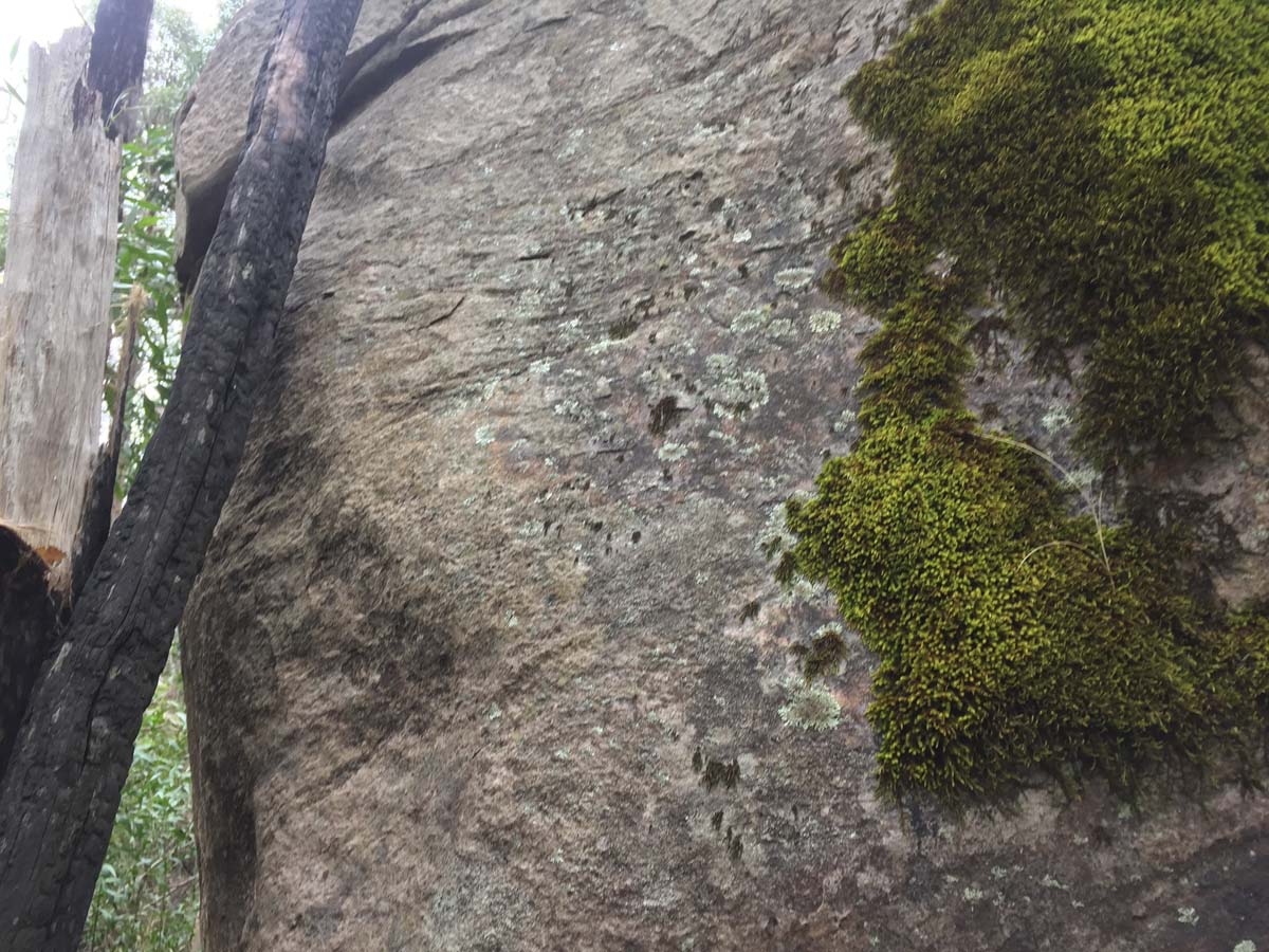 Mount lubra & twin peak hike 47