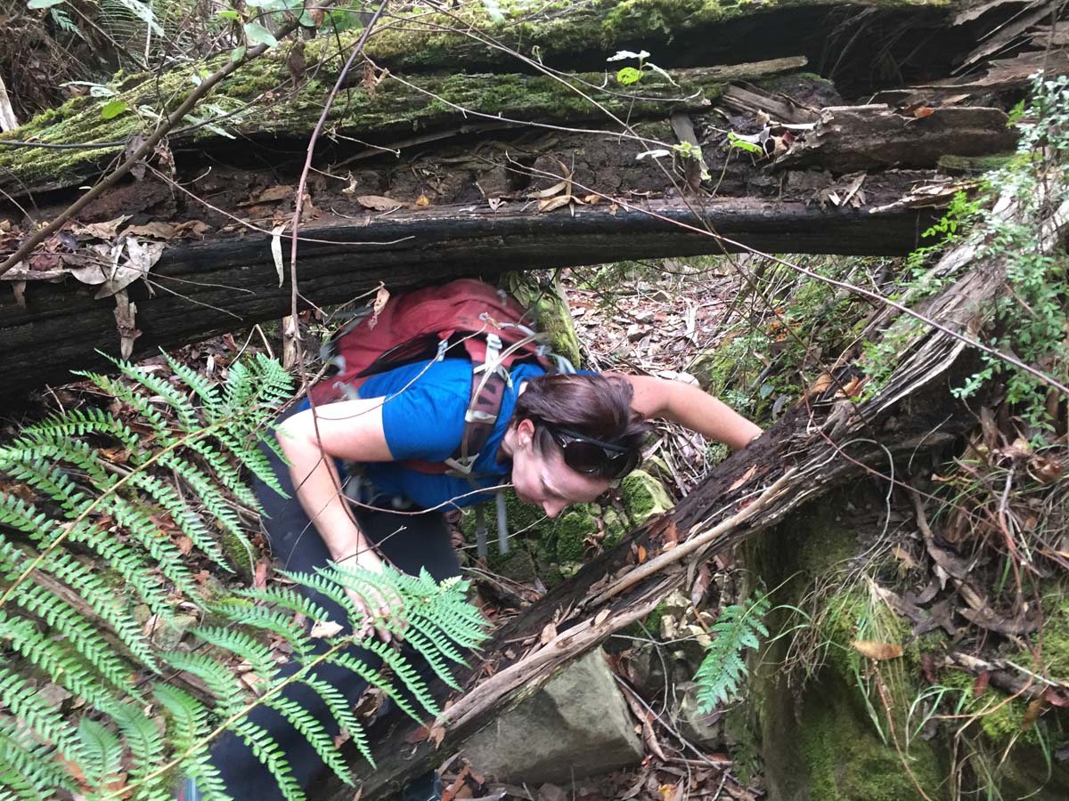 Mount lubra & twin peak hike 49