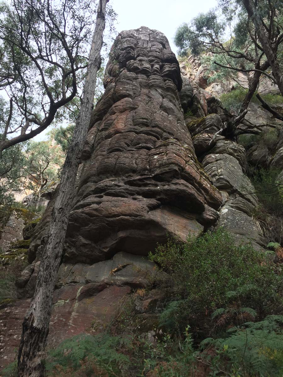 Mount lubra & twin peak hike 7