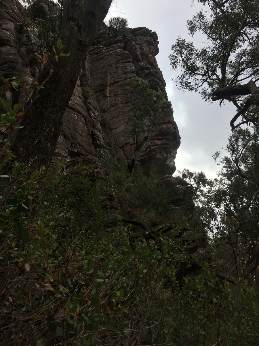 Mount lubra & twin peak hike 8