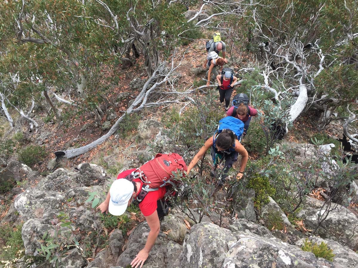 Mount mcdonald & the nobs hike 25