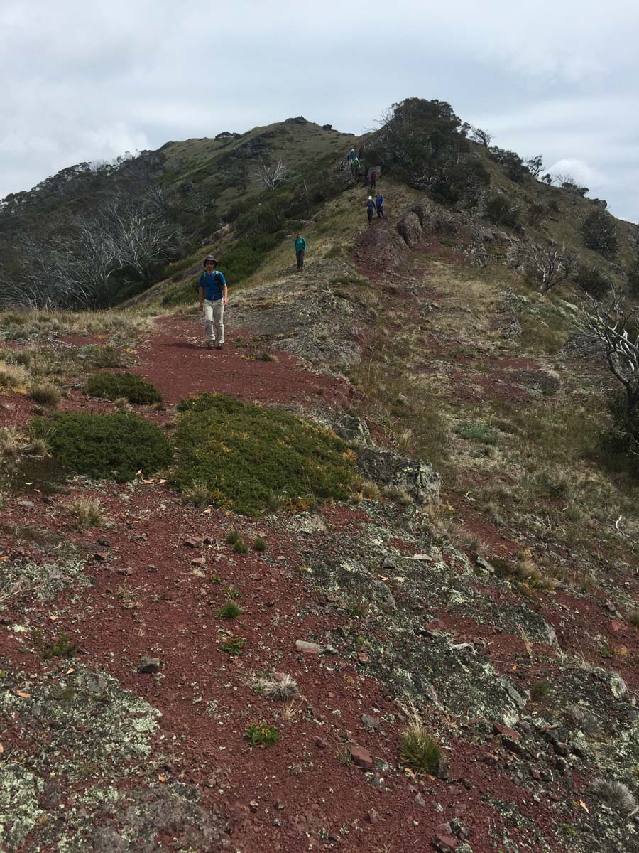 Mount mcdonald & the nobs hike 30