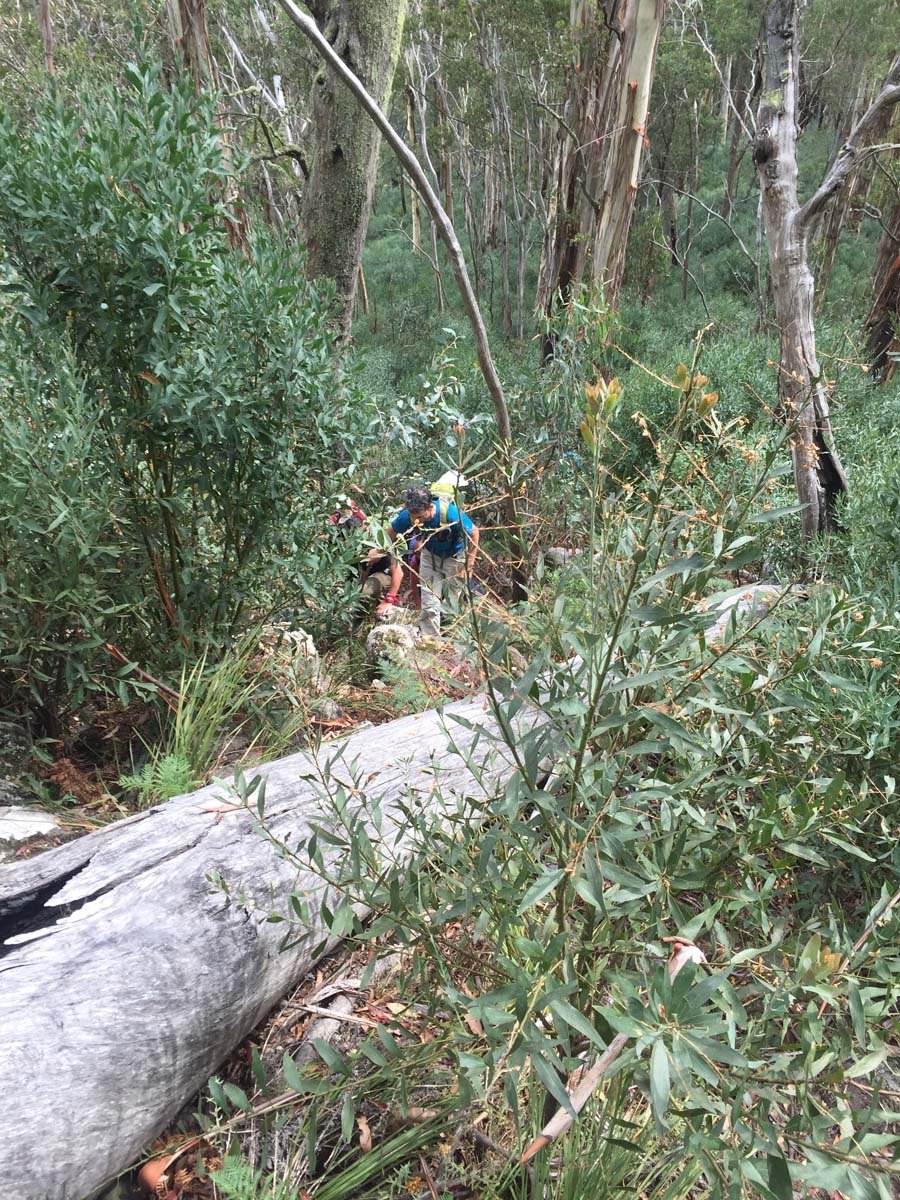 Mount mcdonald & the nobs hike 5