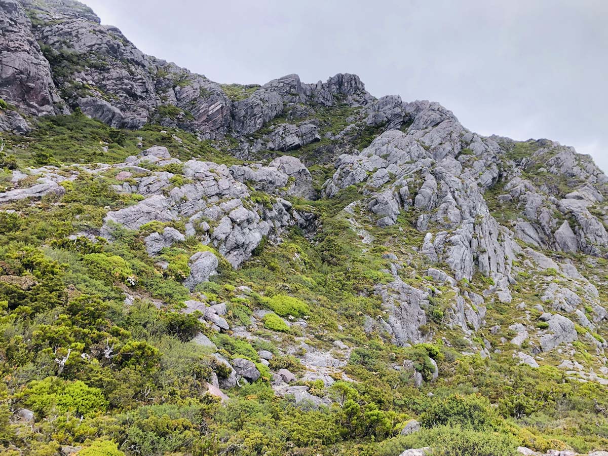 Mount murchison summit hike 16