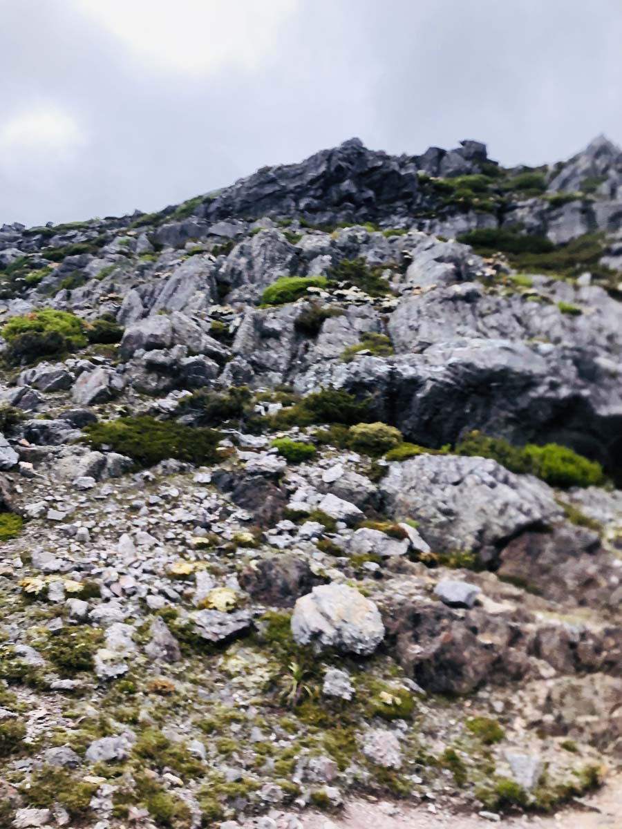 Mount murchison summit hike 22