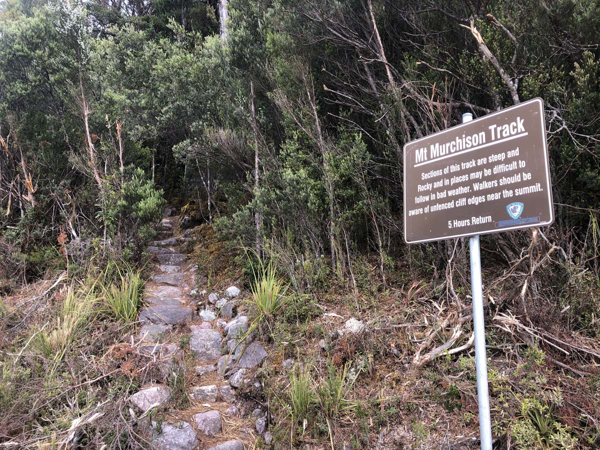 Mount murchison summit hike 3