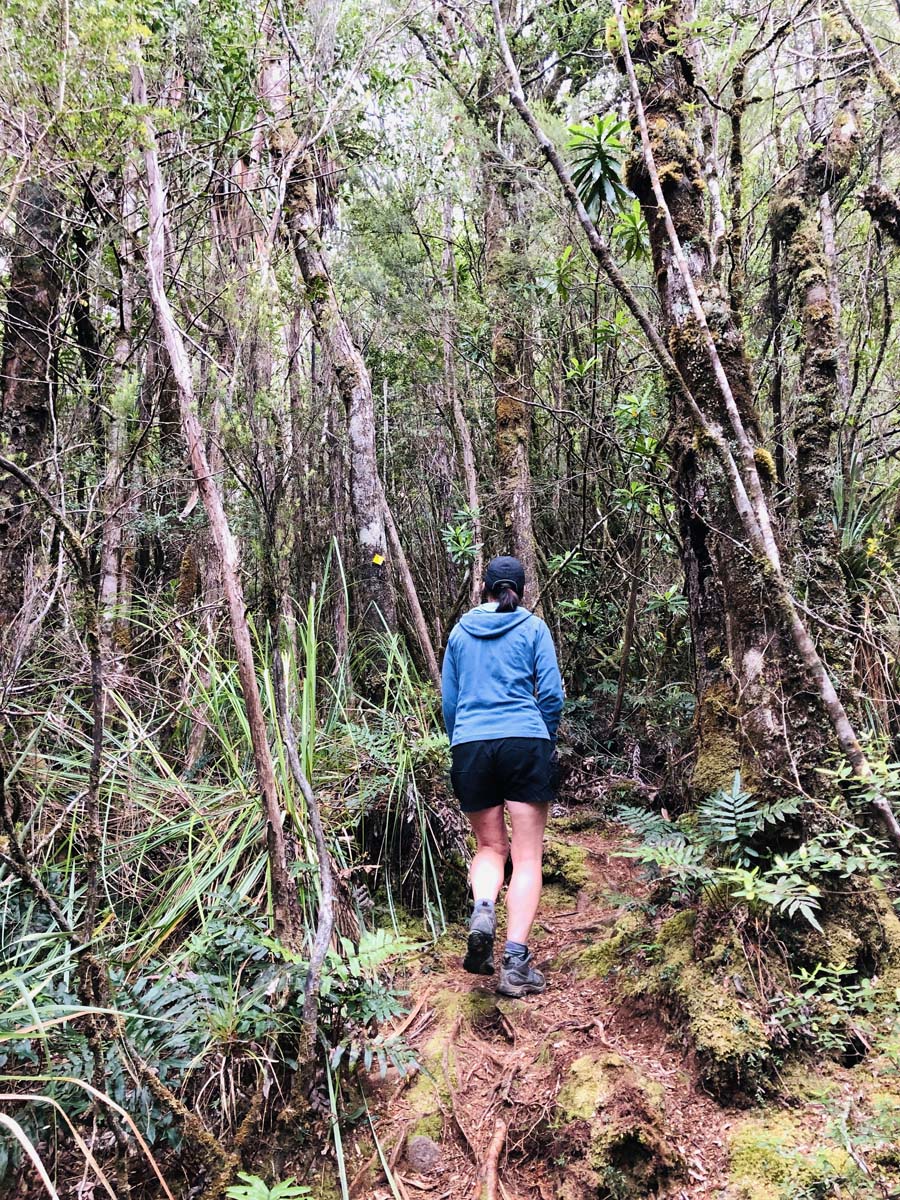Mount murchison summit hike 4