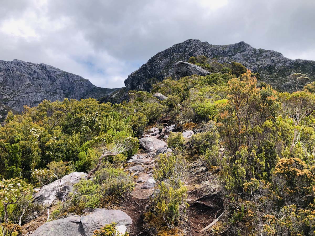 Mount murchison summit hike 8