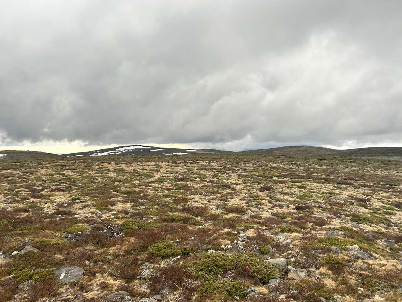 Mount nelse huts walk (1)