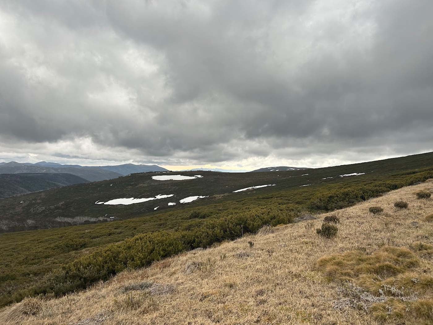 Mount nelse huts walk (2)