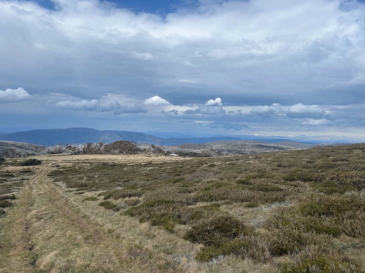 Mount nelse huts walk (7)