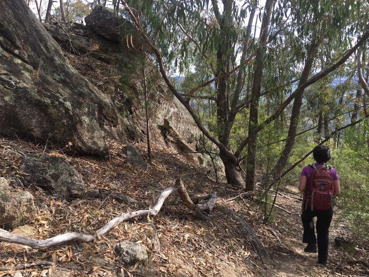 Mount pilot hike 17