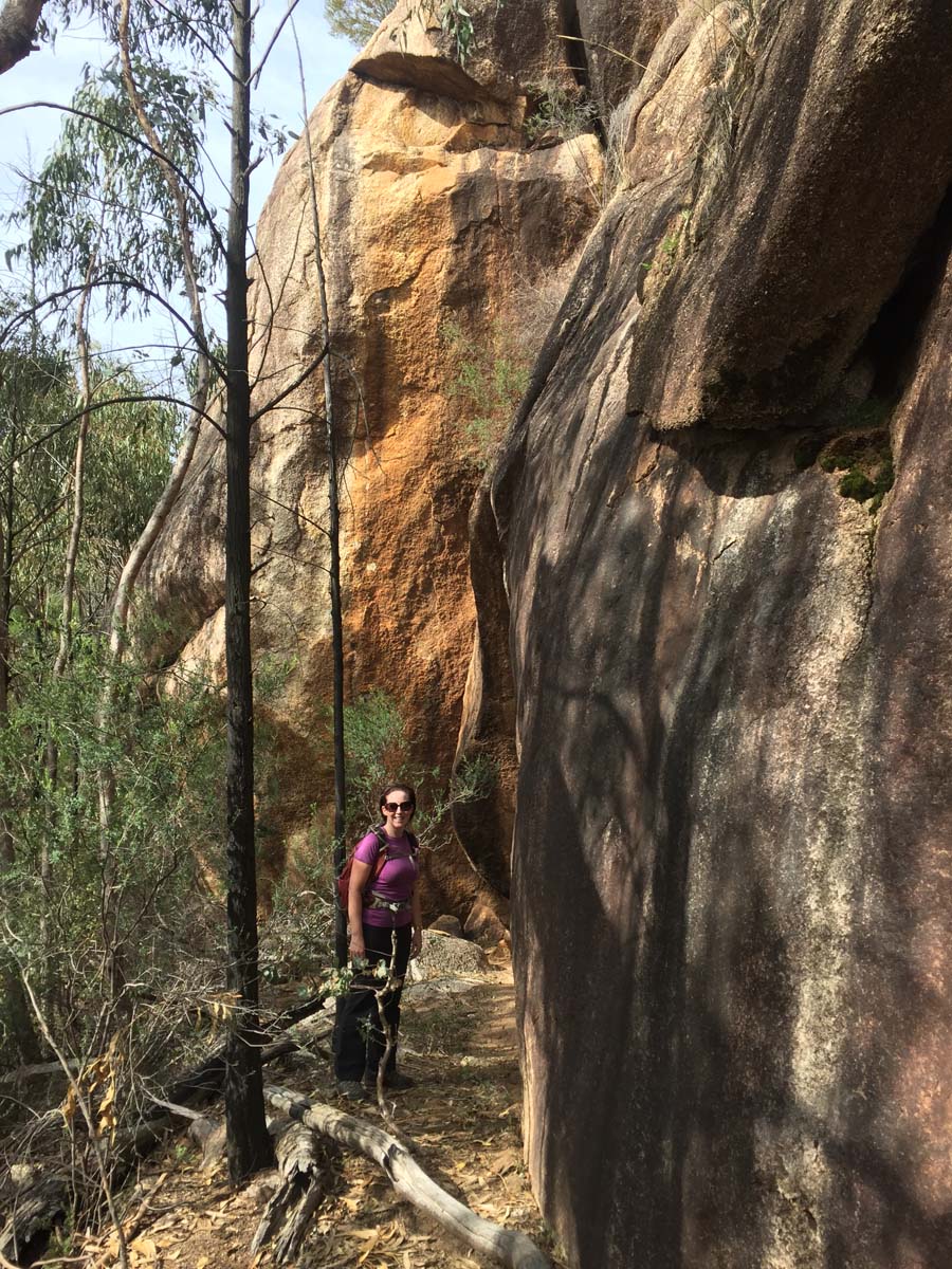 Mount pilot hike 26
