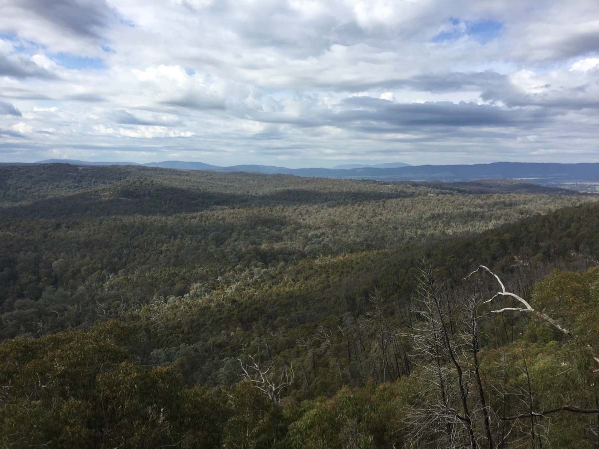 Mount pilot hike 8