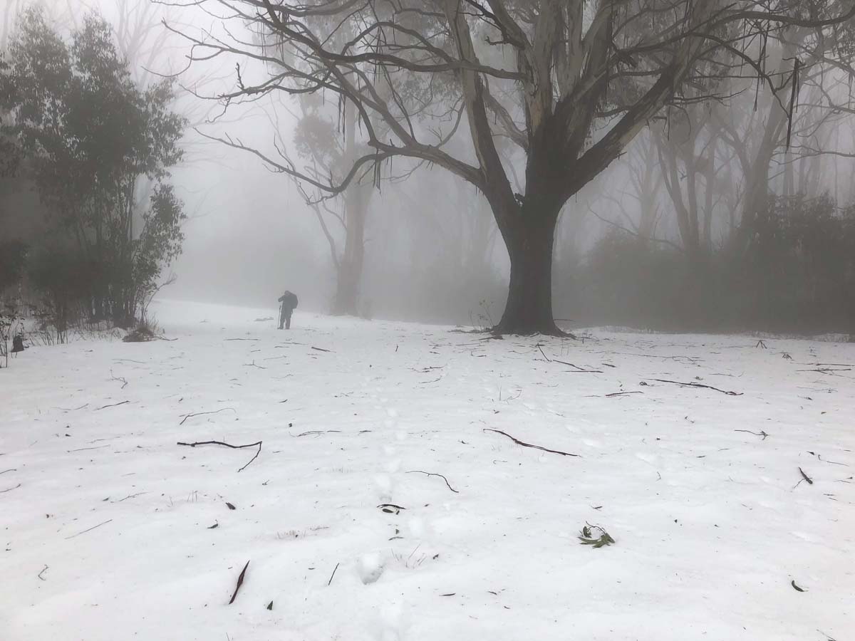 Mount ritchie hike 4