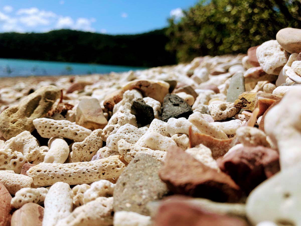 Mount rooper & swamp bay hike 10