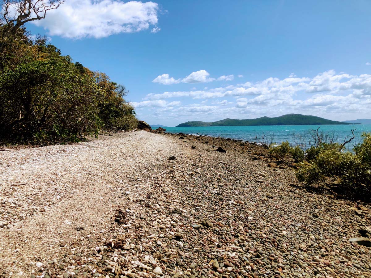 Mount rooper & swamp bay hike 11