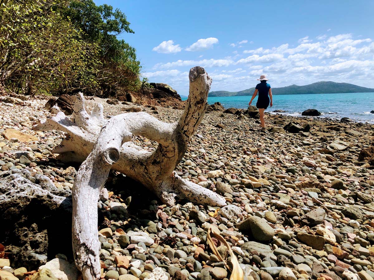 Mount rooper & swamp bay hike 12