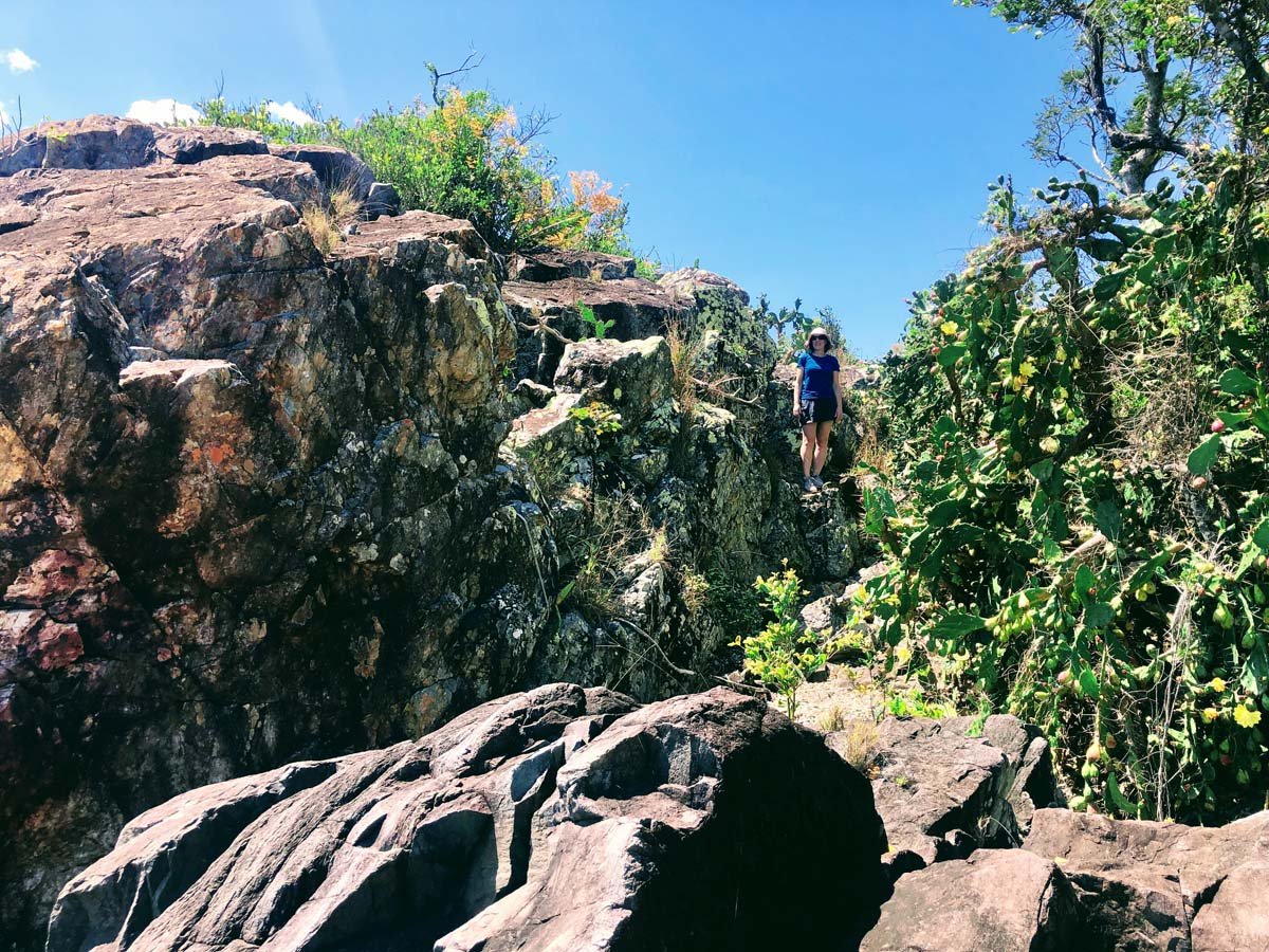 Mount rooper & swamp bay hike 19