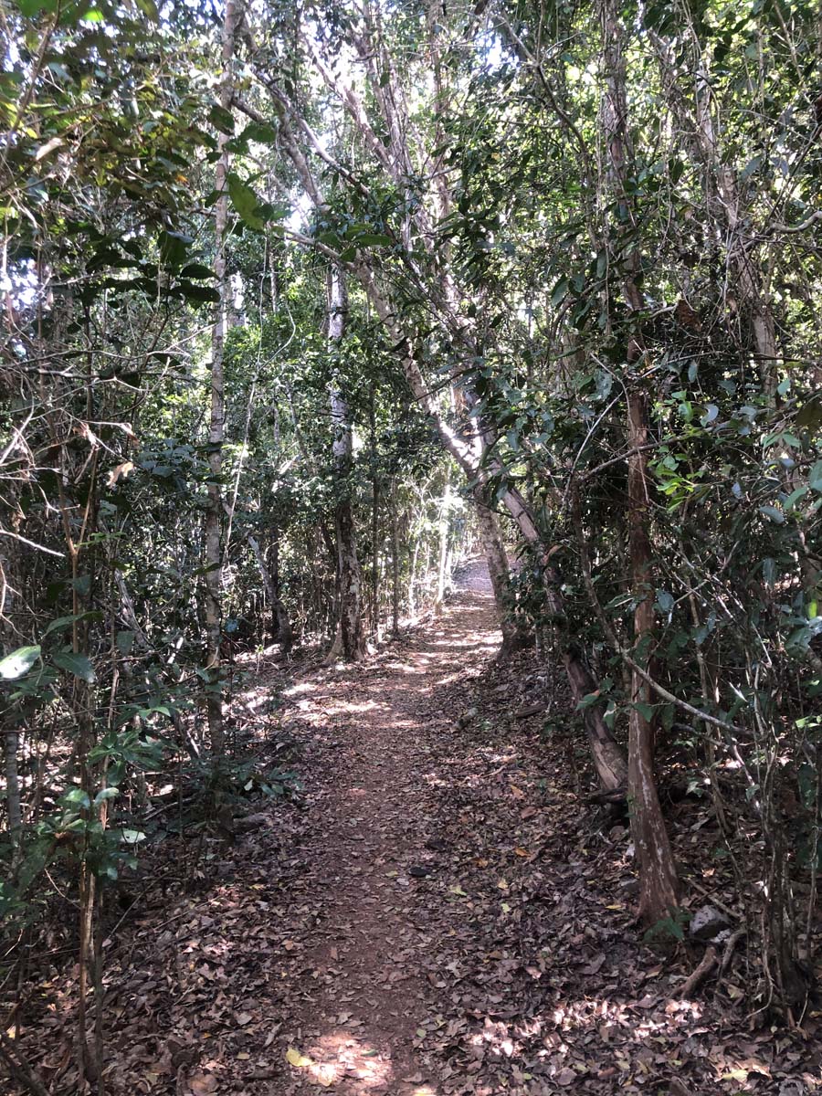 Mount rooper & swamp bay hike 3