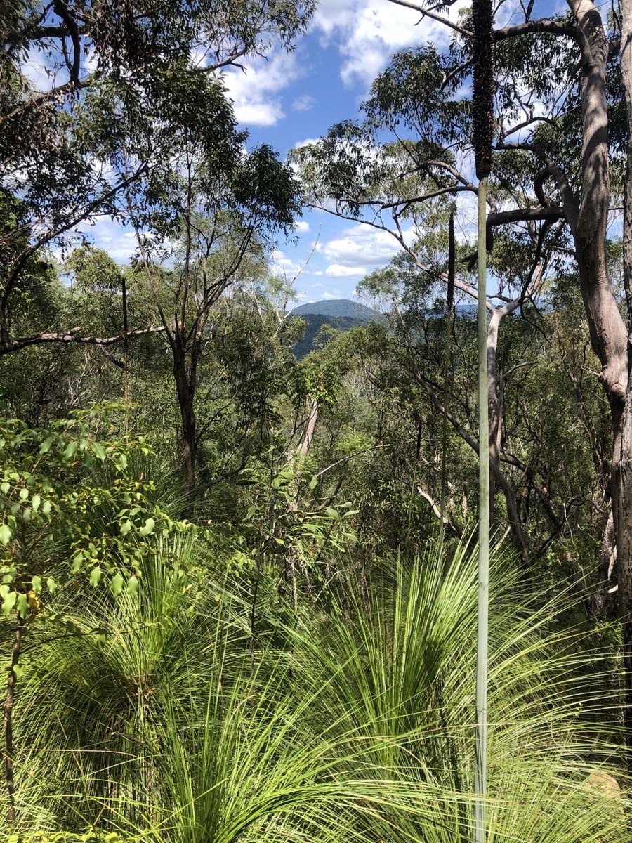 Mount rooper & swamp bay hike 30