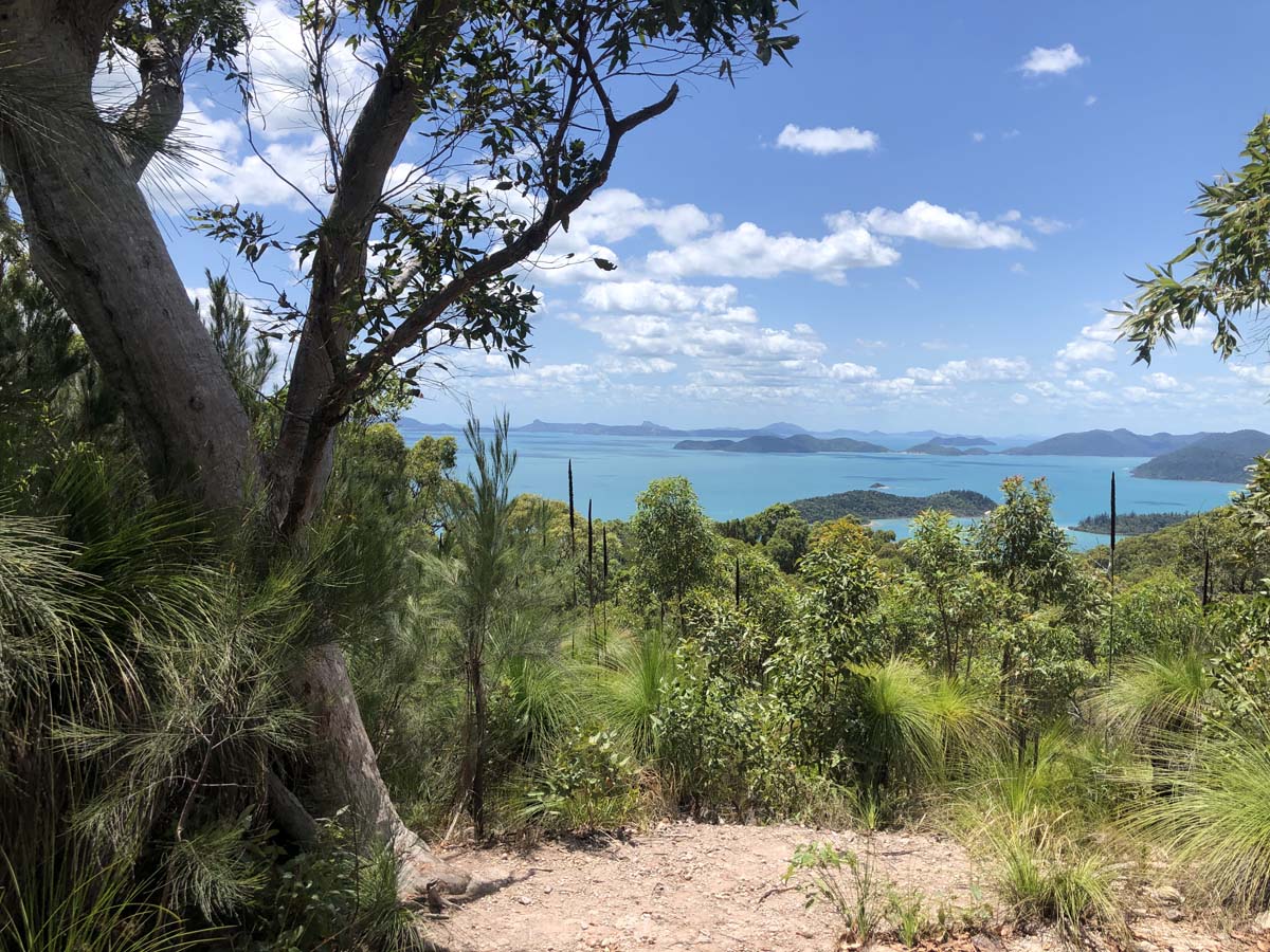 Mount rooper & swamp bay hike 35