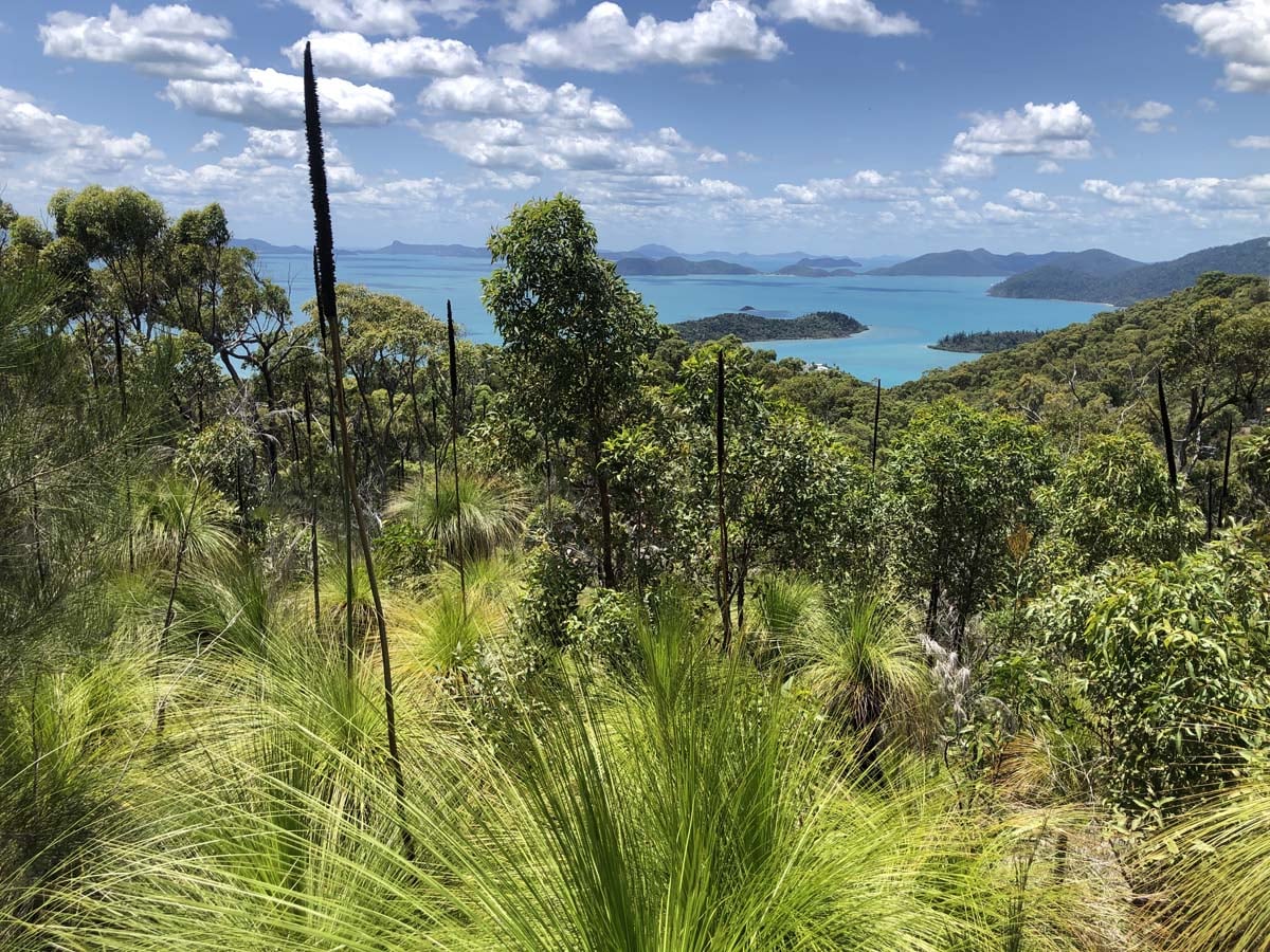 Mount rooper & swamp bay hike 37