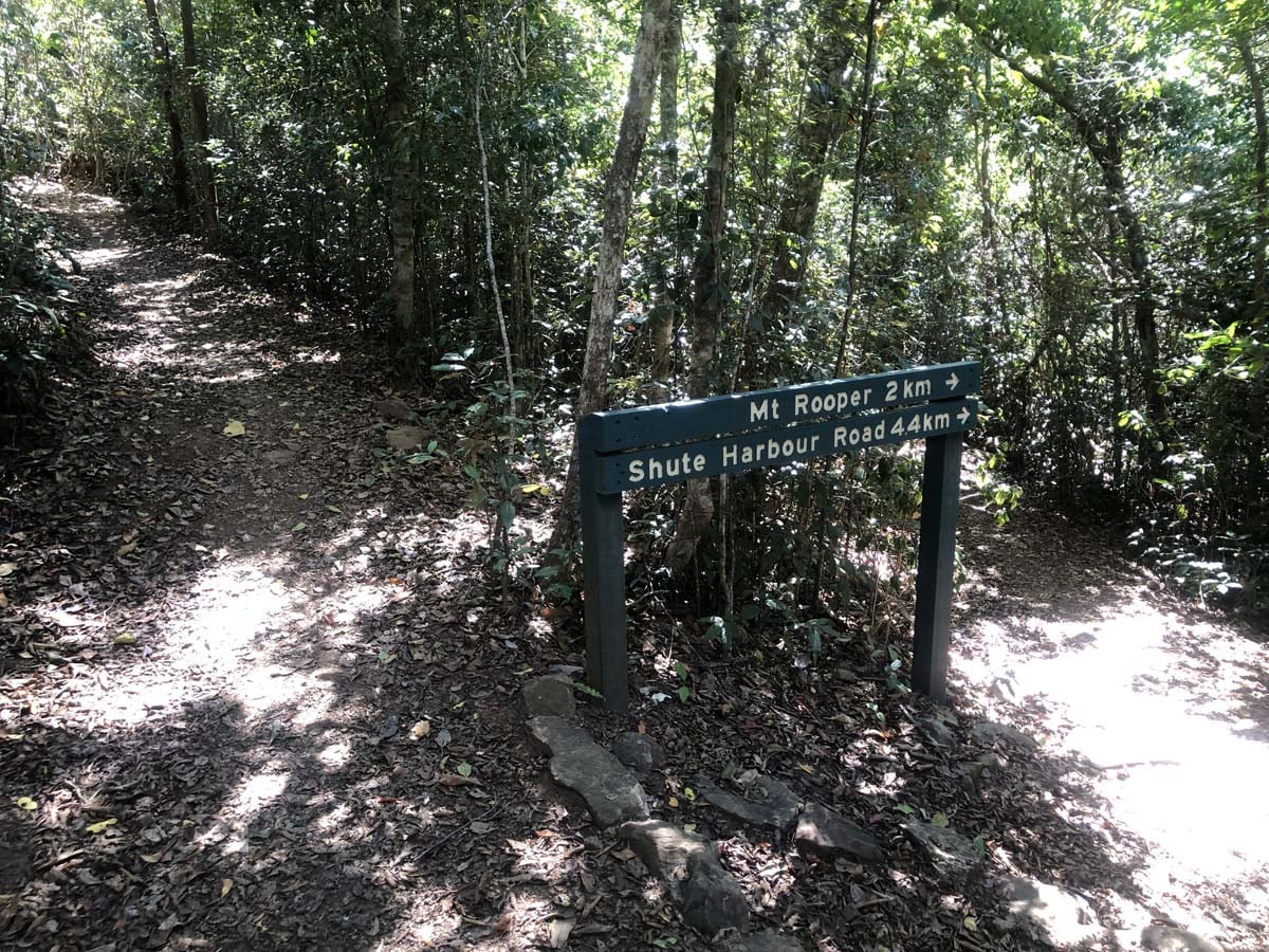 Mount rooper & swamp bay hike 5