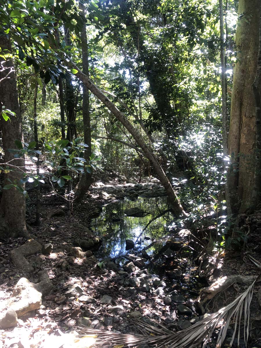 Mount rooper & swamp bay hike 6