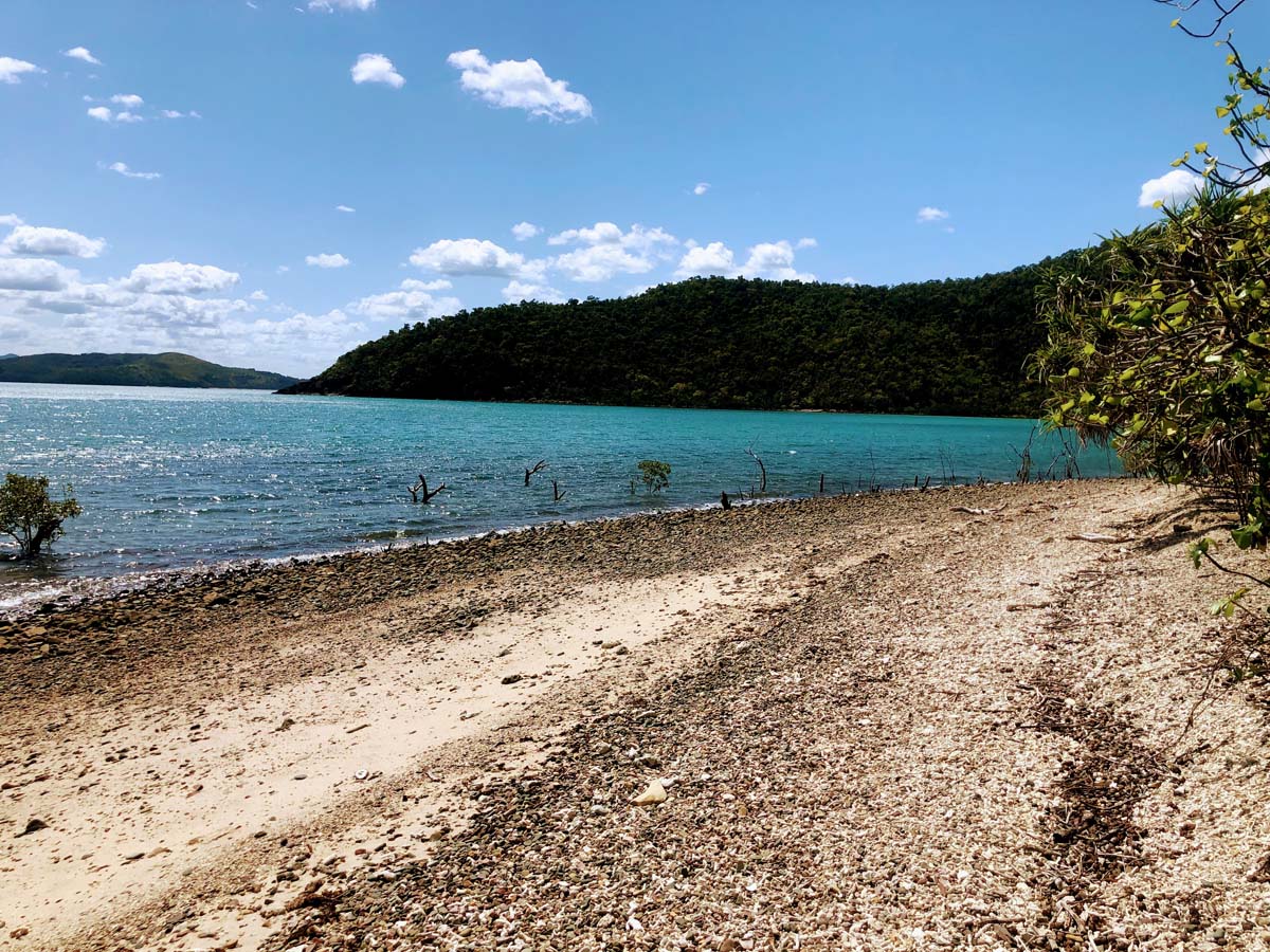 Mount rooper & swamp bay hike 9