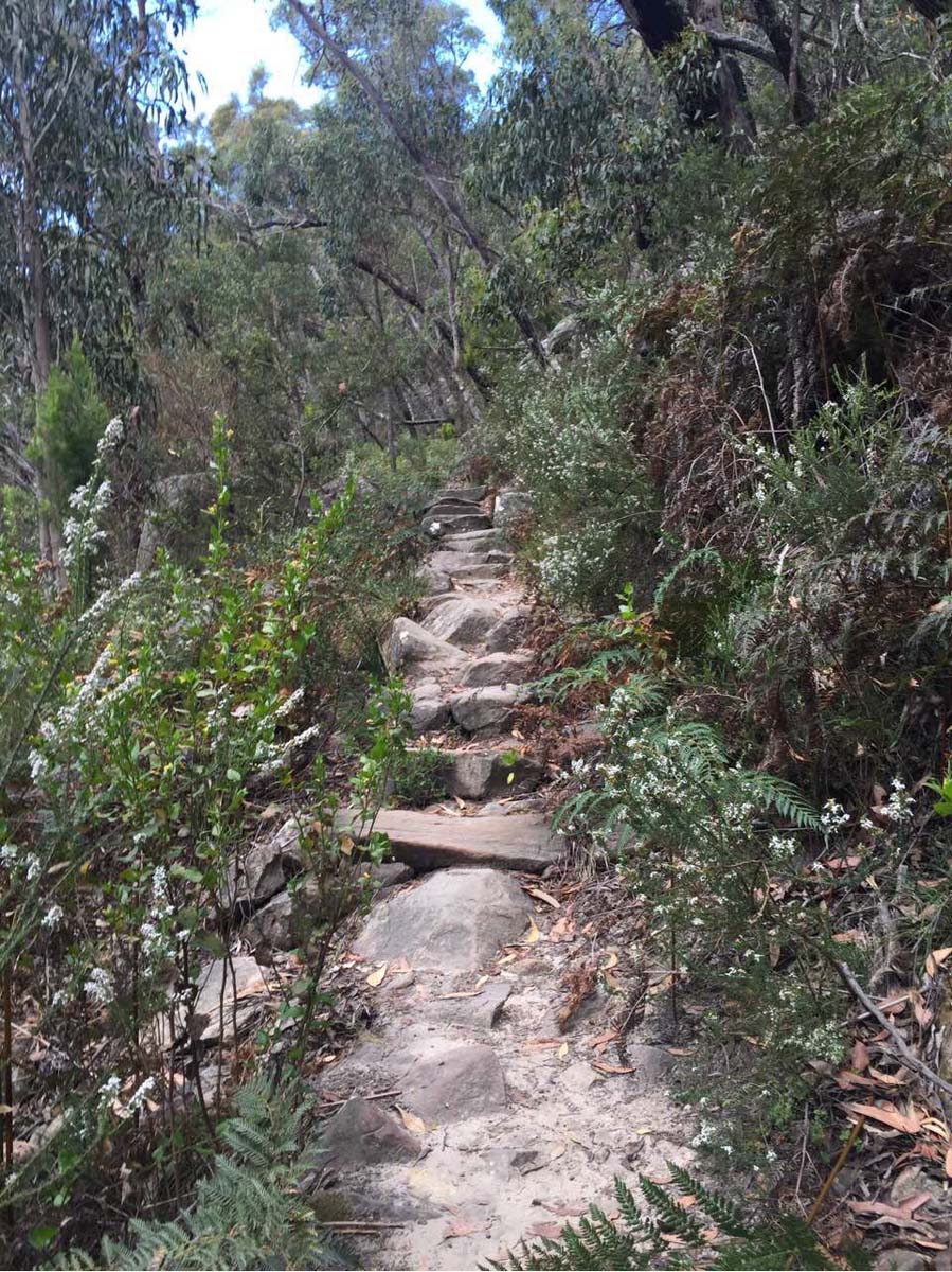 Mount rosea & sundial peak hike 7