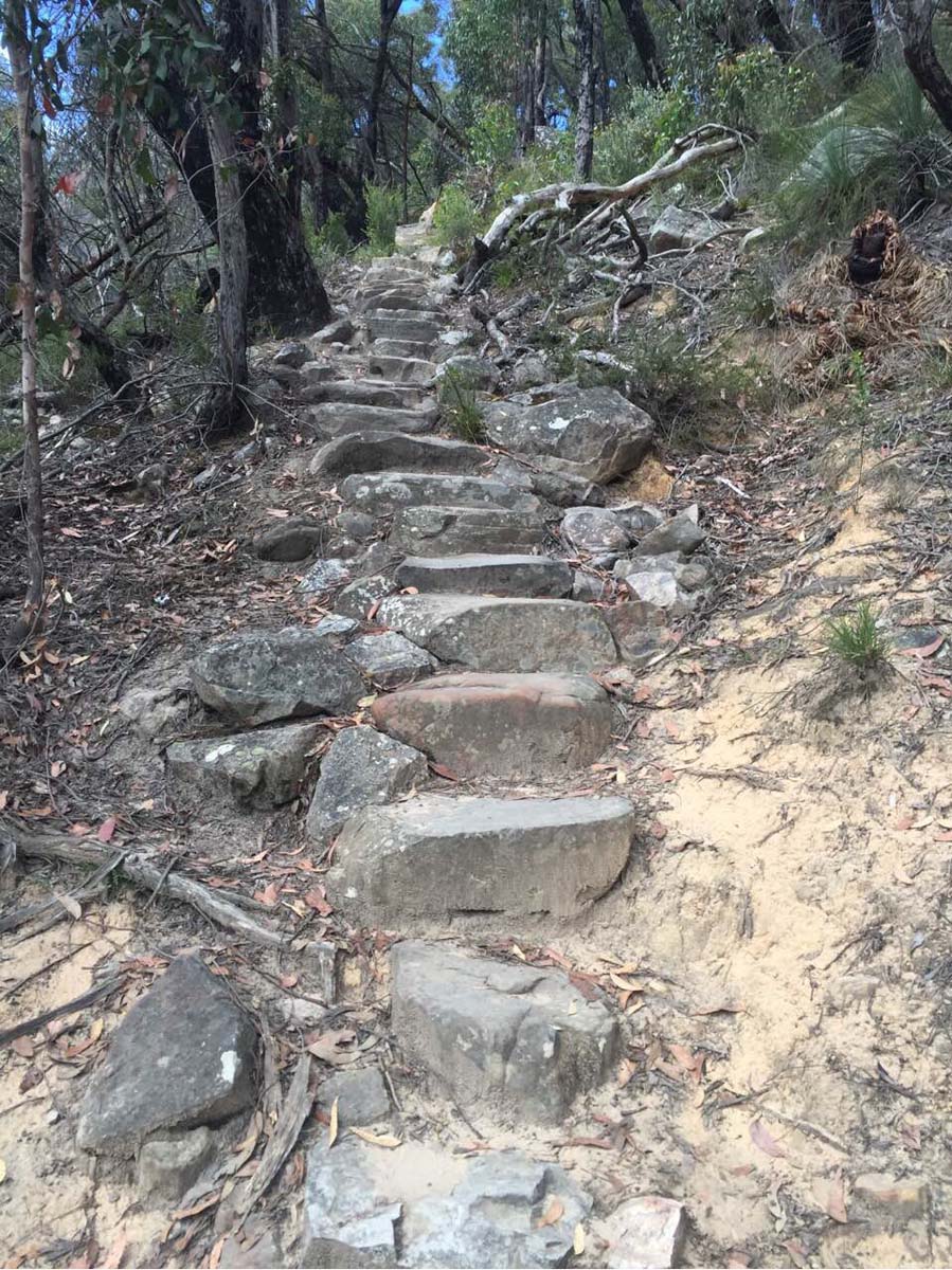 Mount rosea & sundial peak hike 8