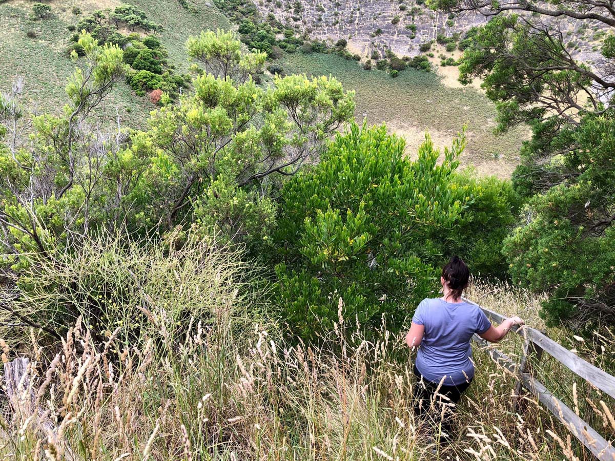 Mount schank crater rim walk 14