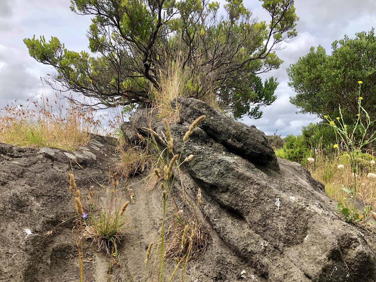 Mount schank crater rim walk 15